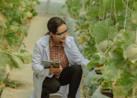 Al via il progetto Agriclima: dati e tecnologia per innovare le modalità di monitoraggio dei rischi climatici 